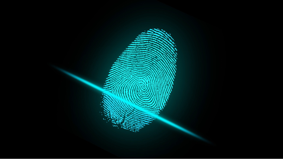 Illustration of a fingerprint, representing security and Identity Access Management (IAM) systems for enterprises.